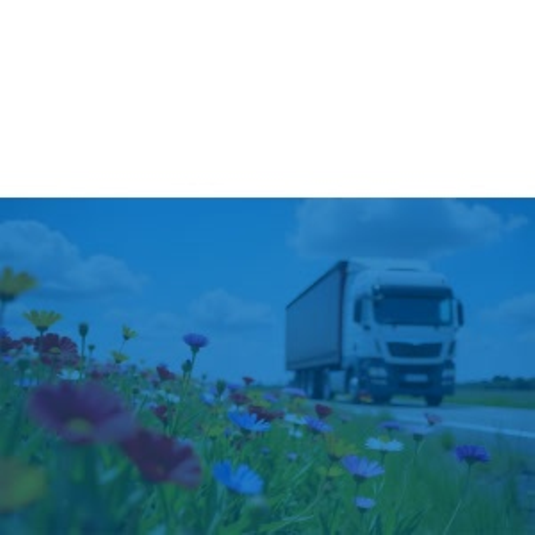 successstores-coremedia-preview-tile-m-mk-logistic-cargo-line