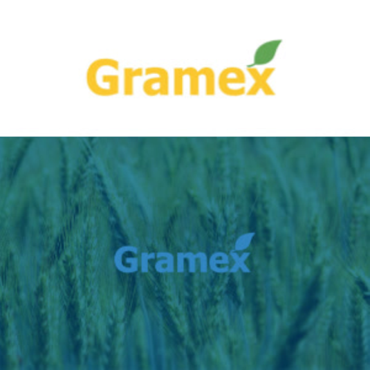 successstores-statements-preview-tile-see-gramex-hr-page-1